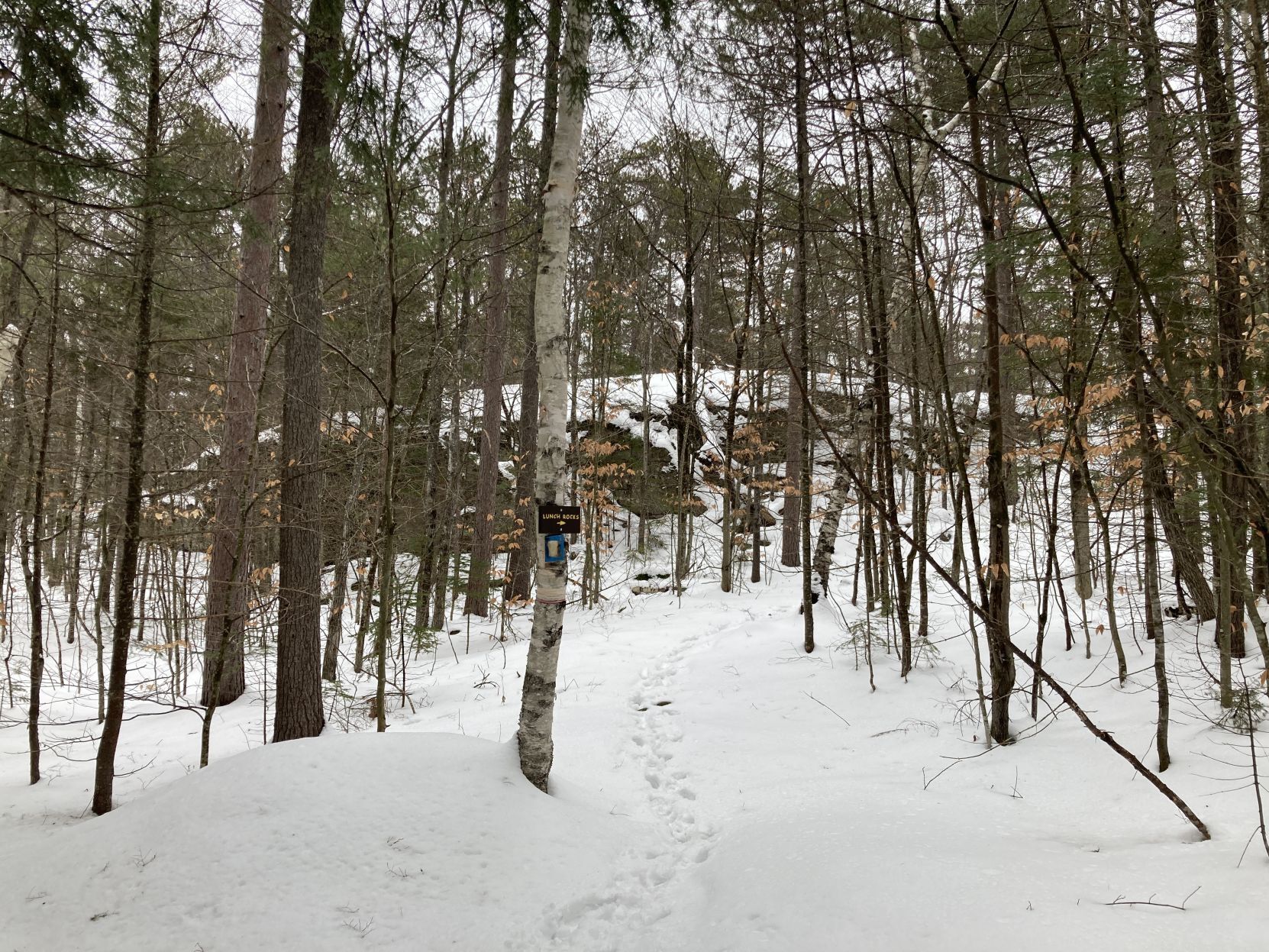 Lunch Rock Trail